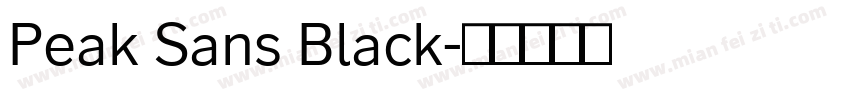 Peak Sans Black字体转换